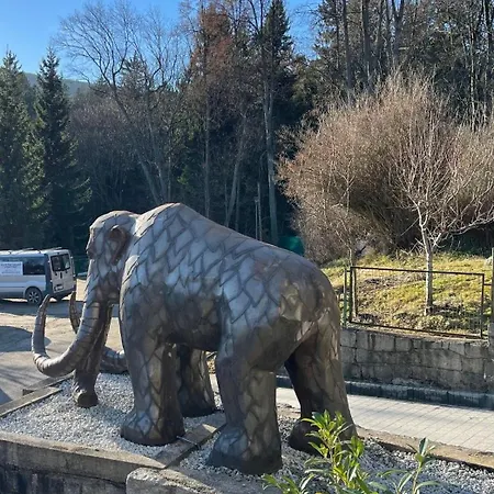 Apartment Mamut *